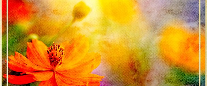An abstract painting of colorful Spring flowers with the sun shining behind and above them