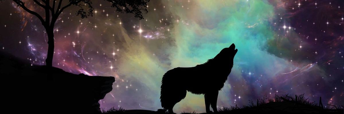 An abstract image of a silhouette of a wolf howling against a starry and bluish-purple background