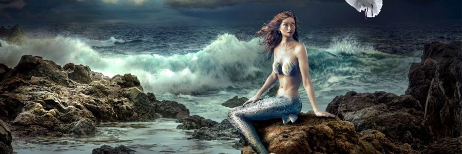 A mermaid sitting on rocks while a seagull flies over her and the ocean waves crash upon rocks in the background